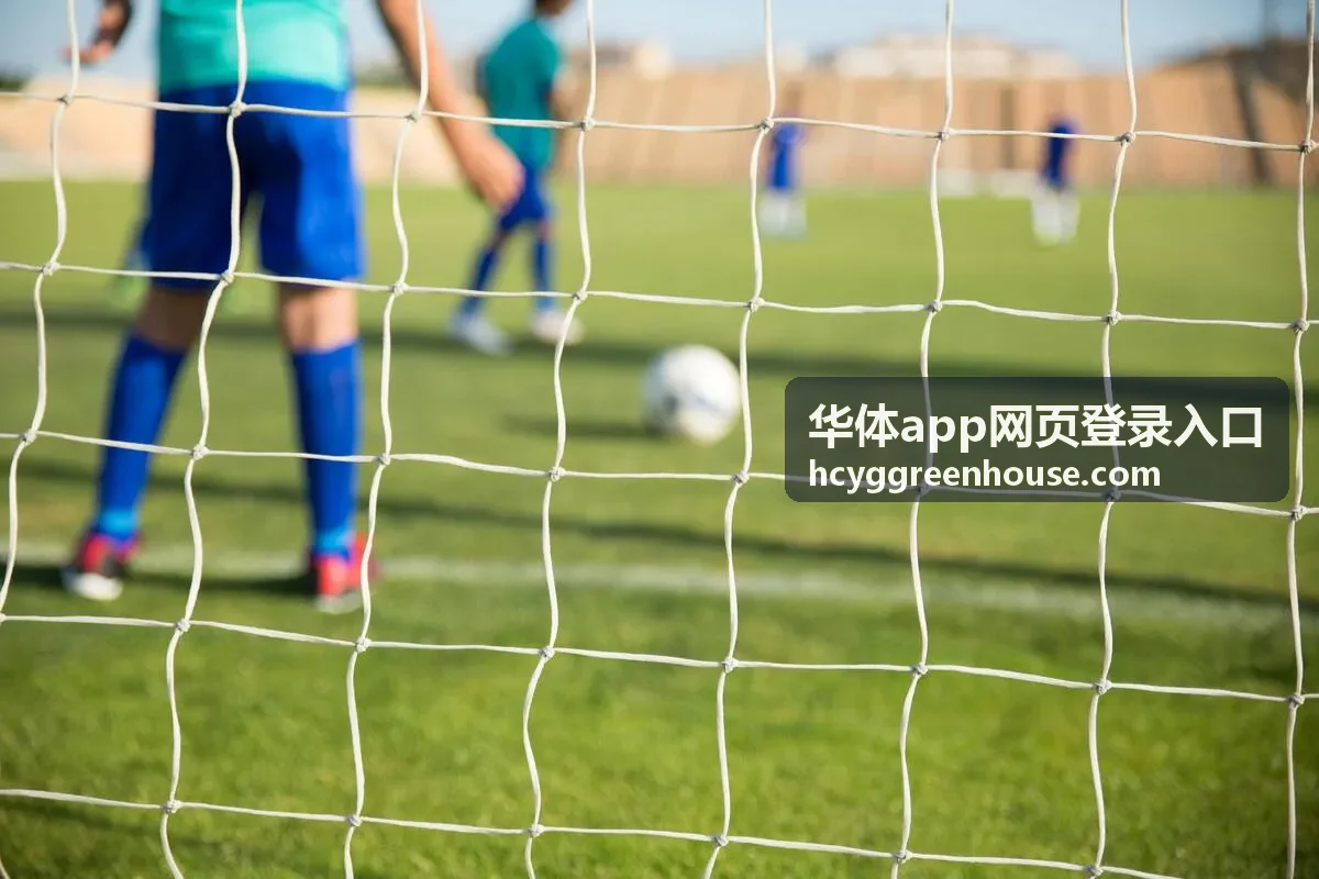 华体app网页登录入口常见问题说明页面示意